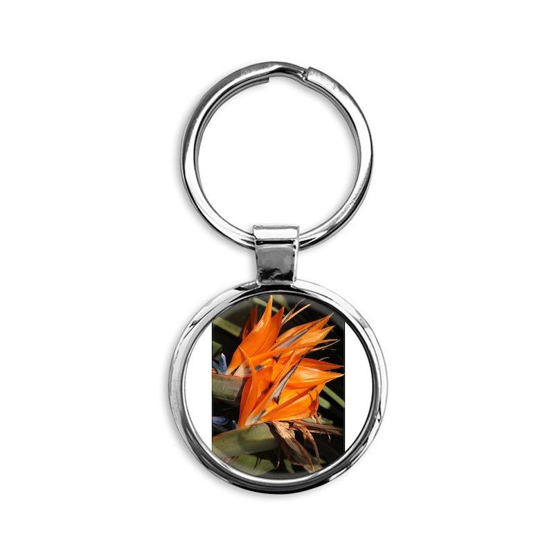 orange bird of paradise flowers close up Circle Keychain